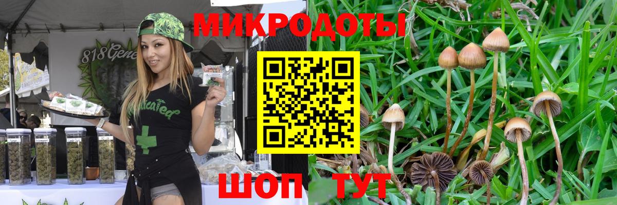 Псилоцибиновые грибы MAGIC MUSHROOMS  цены наркотик  Вход с VPN  Чистополь  Галлюциногенные грибы ЛСД 